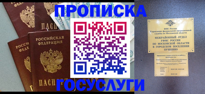 прописка гарантия в Петропавловске-Камчатском